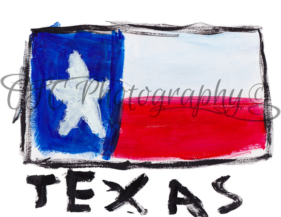 Texas Flag painting transparency